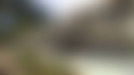 CURSOS GRÁTIS NA FUNDAÇÃO JOÃO PINHEIRO