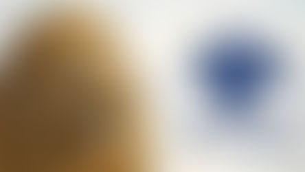 SENAC: Atendimento gratuito para declaração do IR