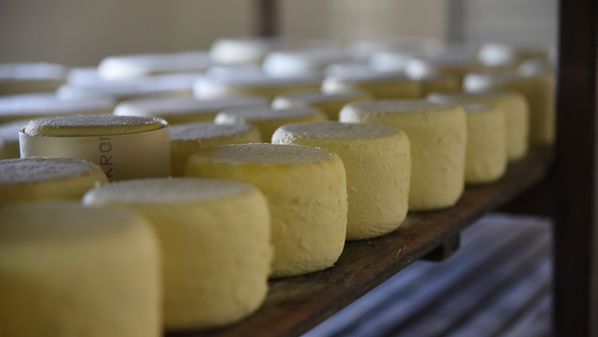 Produtores mineiros de queijo se destacam no Mondial du Fromage