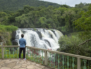 Poços de Caldas: a cidade que brotou da água e não do altar