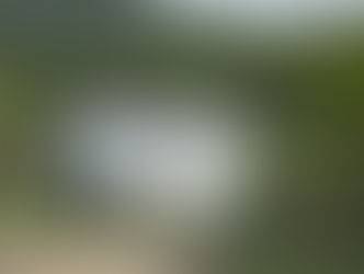 Poços de Caldas: a cidade que brotou da água e não do altar