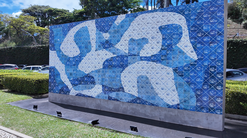 PIC 65 anos: tradição, inovação e uma gestão que projeta o clube para o futuro