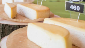 MINEIROS NA FRANÇA: Queijo Minas como Patrimônio Cultural Imaterial da Unesco é missão