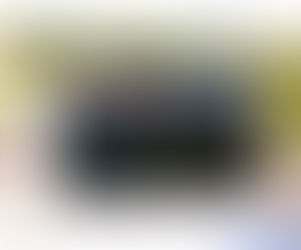 MINERAÇÃO NA SERRA DO CURRAL: VEREADORES TEMEM TRAGÉDIA AMBIENTAL