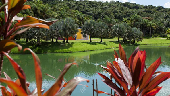 Inhotim aparece em lista do The New York Times como um dos melhores destinos do mundo para conhecer em 2026