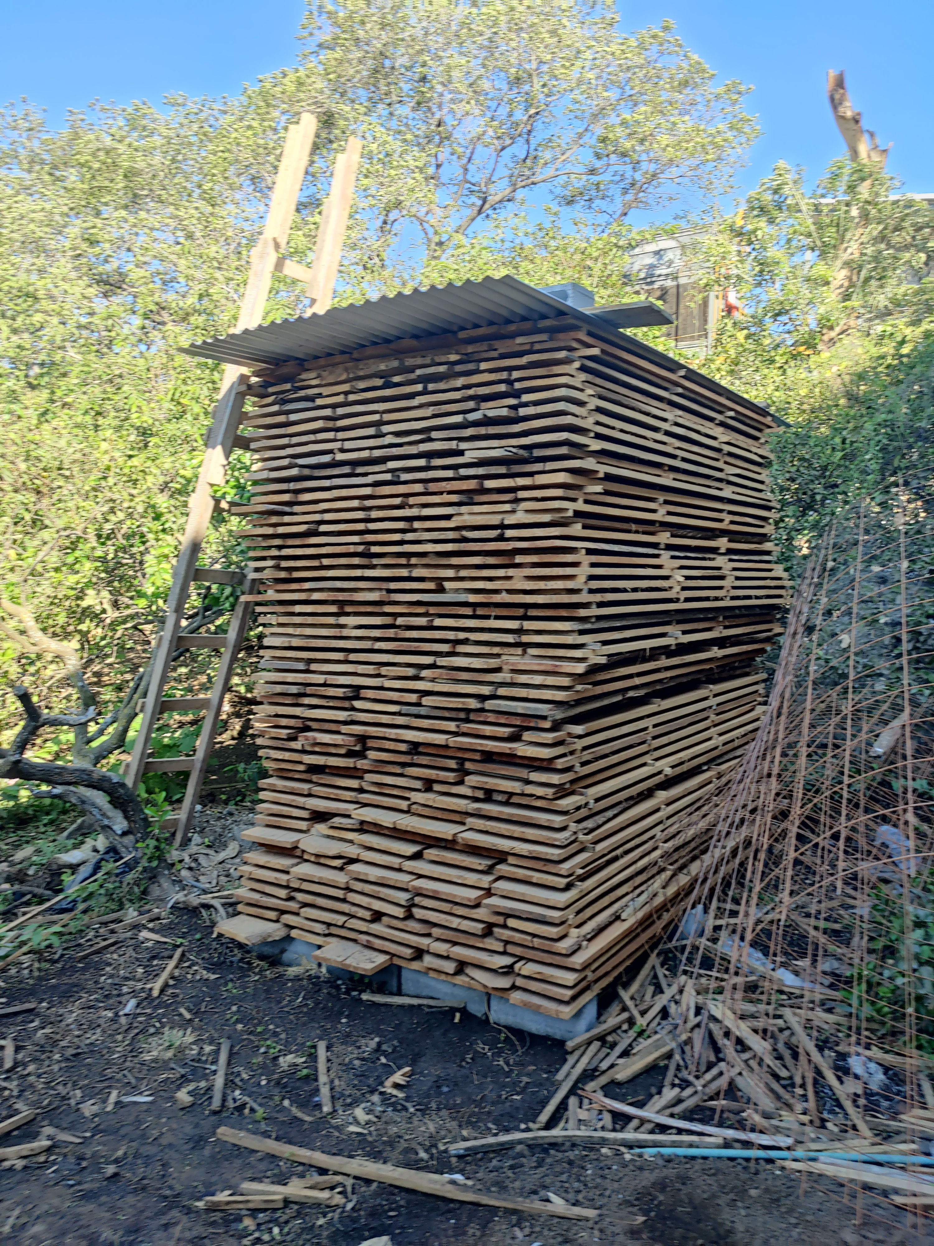 Madera Seca de Laurel