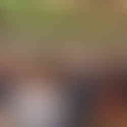 INTELLIGENZA ARTIFICIALE