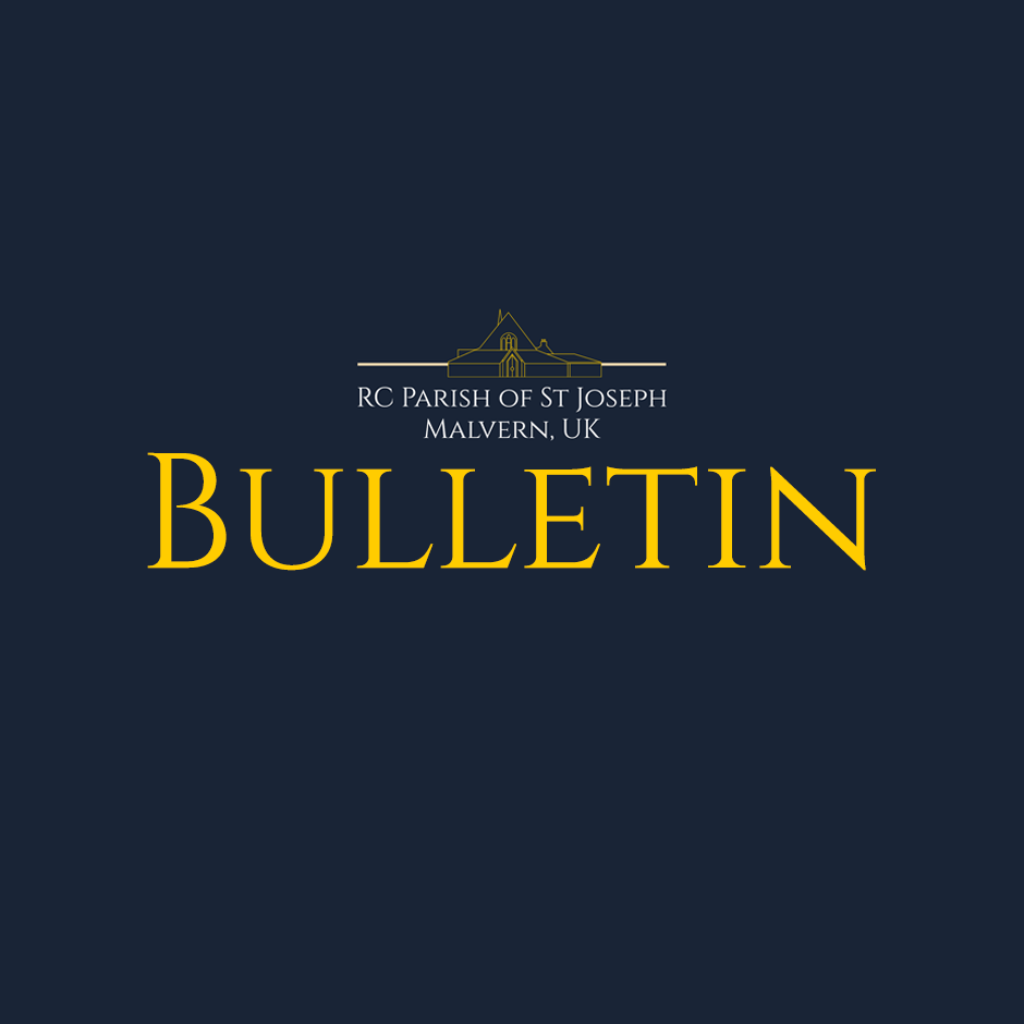 Bulletin - 2/3 August 2025