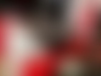 SIOR Development Day Success!