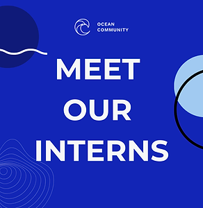 1_Interns.png