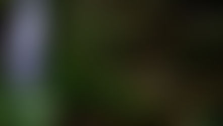 Le Cascate di Guanyin (Puli)