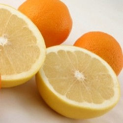 有機葡萄柚籽萃取液