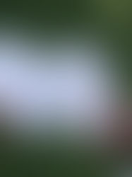 Desires deserve space: when you miss the stars