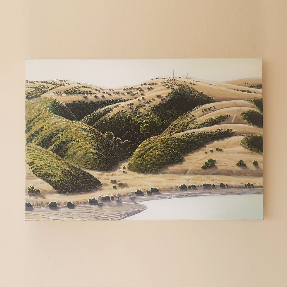 Whitireia Park - SOLD