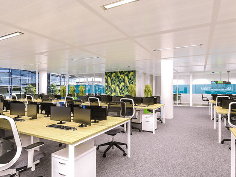 Culture in the Future Workplace