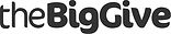 big give logo.jpeg