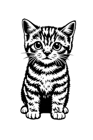 Ein süße Katze schaut Dich an