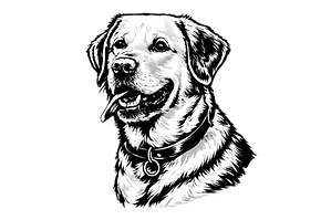 Hund lächelt Dich an