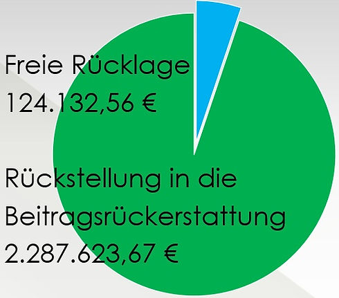 Gewinnverwendung 2025: Rund 124.000 € werden der freien Rücklage und über 2,28 Millionen € der Rückstellung für Beitragsrückerstattung zugeführt.
