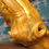 Miniaturbild: Holunder Wabi Sabi