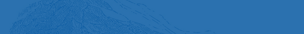 Group 1 (3).png