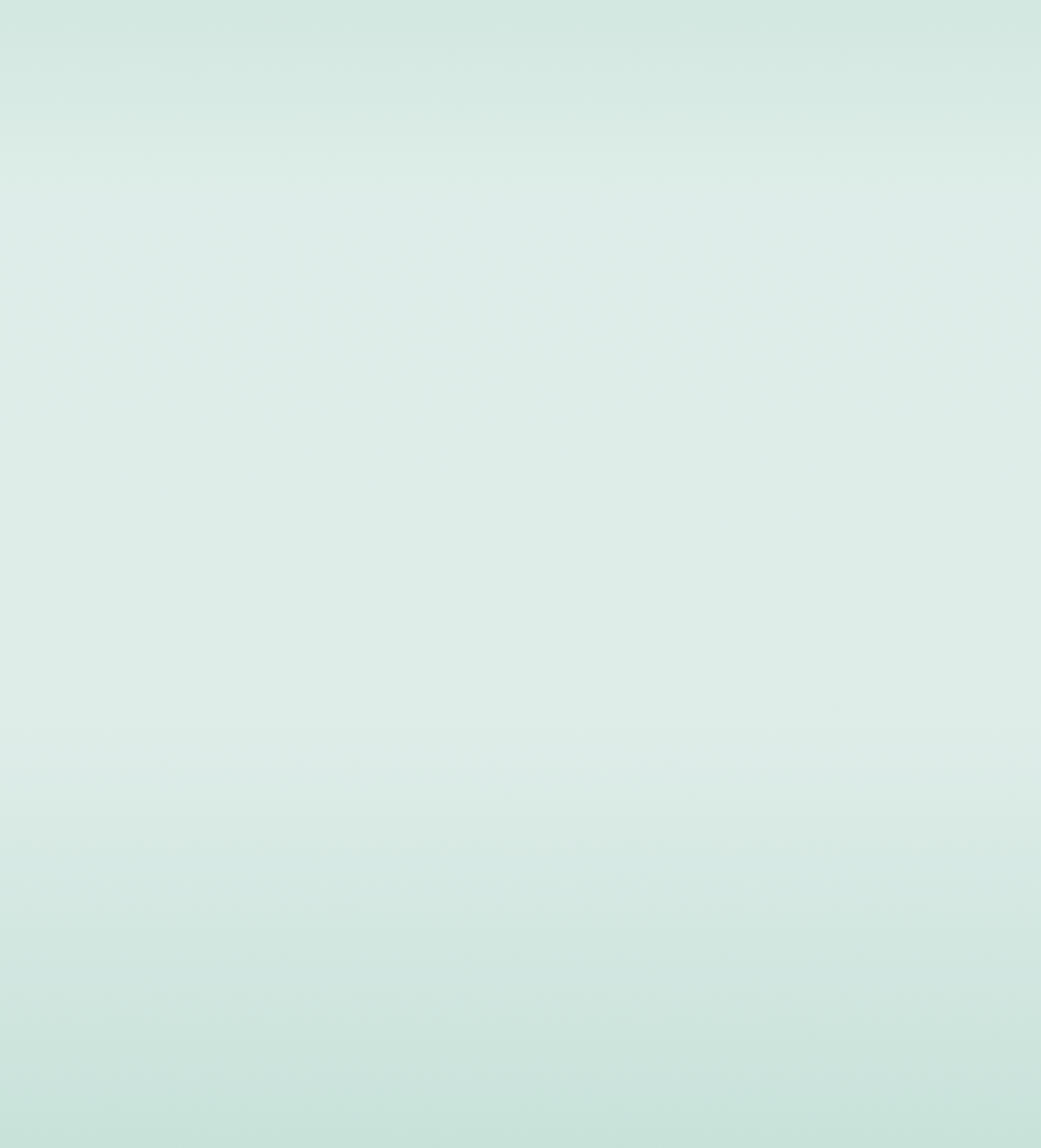 Team Section (1).png