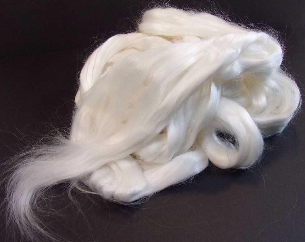 What is Cellulose? A Deep Dive into This Essential Fibre Component