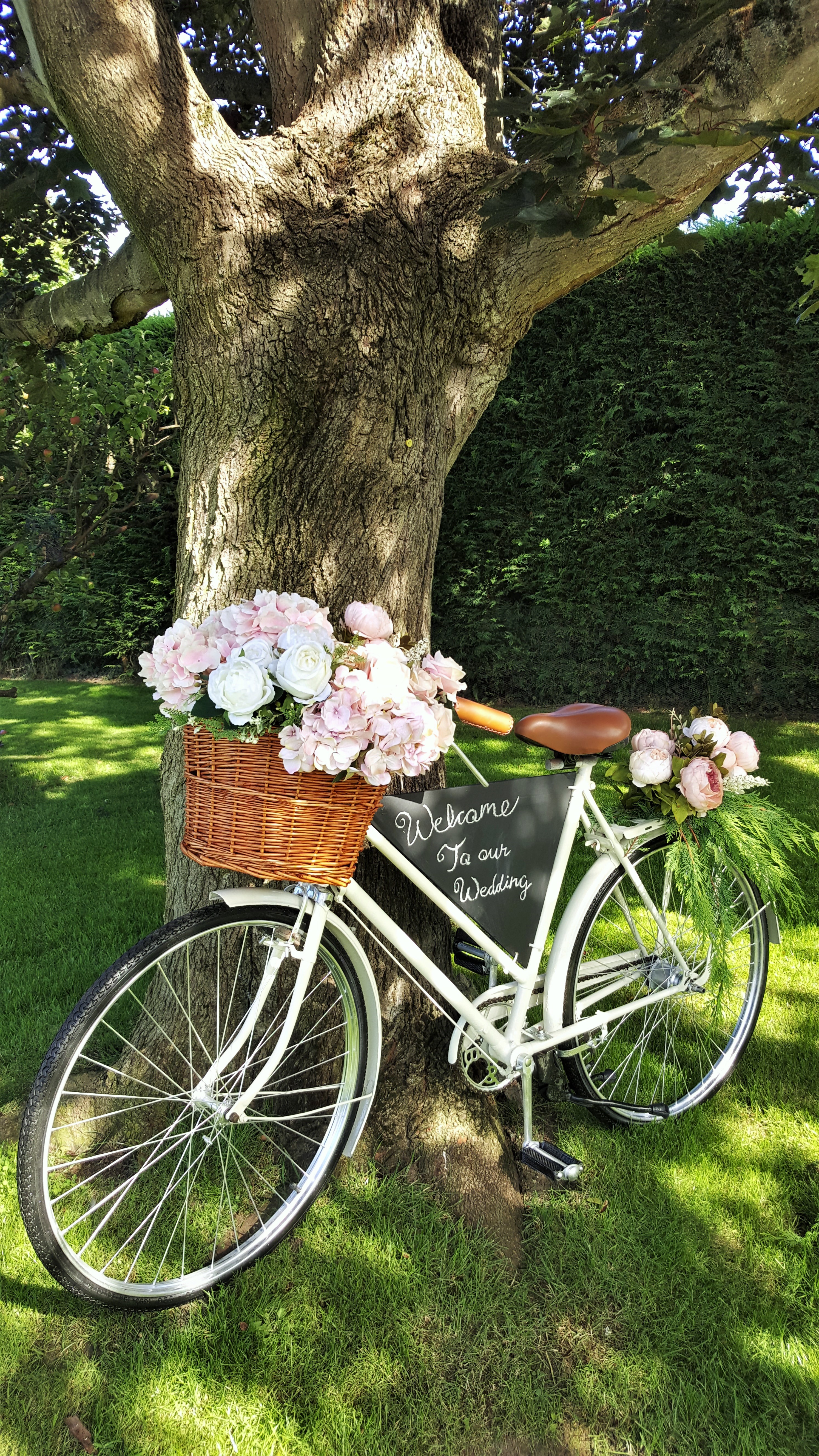 Vintage Bike Hire