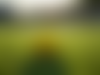 Improve Sports Vision with Our Yellow Training Balls