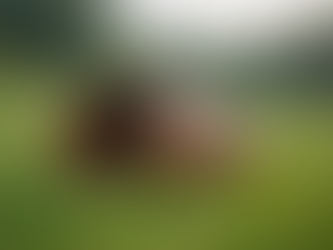 Boost Your Game: Unique Baseball Lessons for Kids