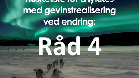 Gevinstrealisering huskeliste - Råd 4
