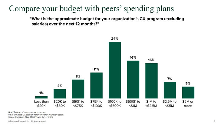 spending plans cx programs