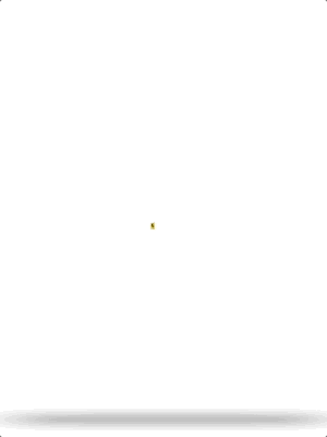 Jun-17-2022 19-18-43 BOUNCING CAT.gif
