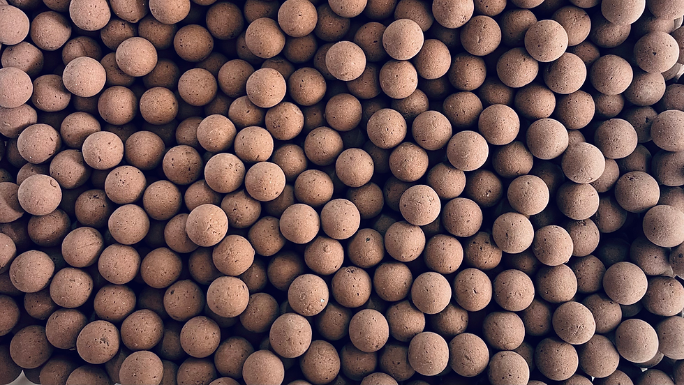 850g Brown 16mm Pop Ups