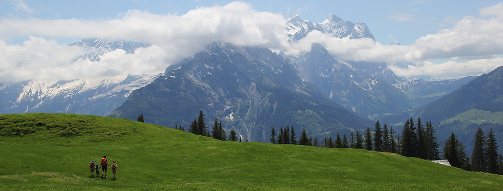 Swiss Alps