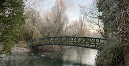 Merry Christmas and a Happy New Year 