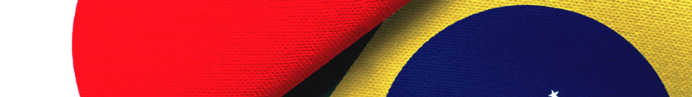brasil-e-japao_edited_edited.jpg