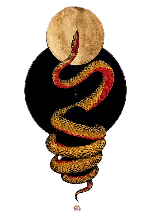 TalonAbraxas (_talonabraxas) on Tumblr_e