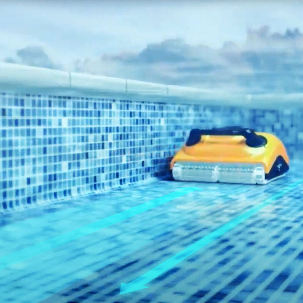 Thumbnail: Dolphin W20 רובוט