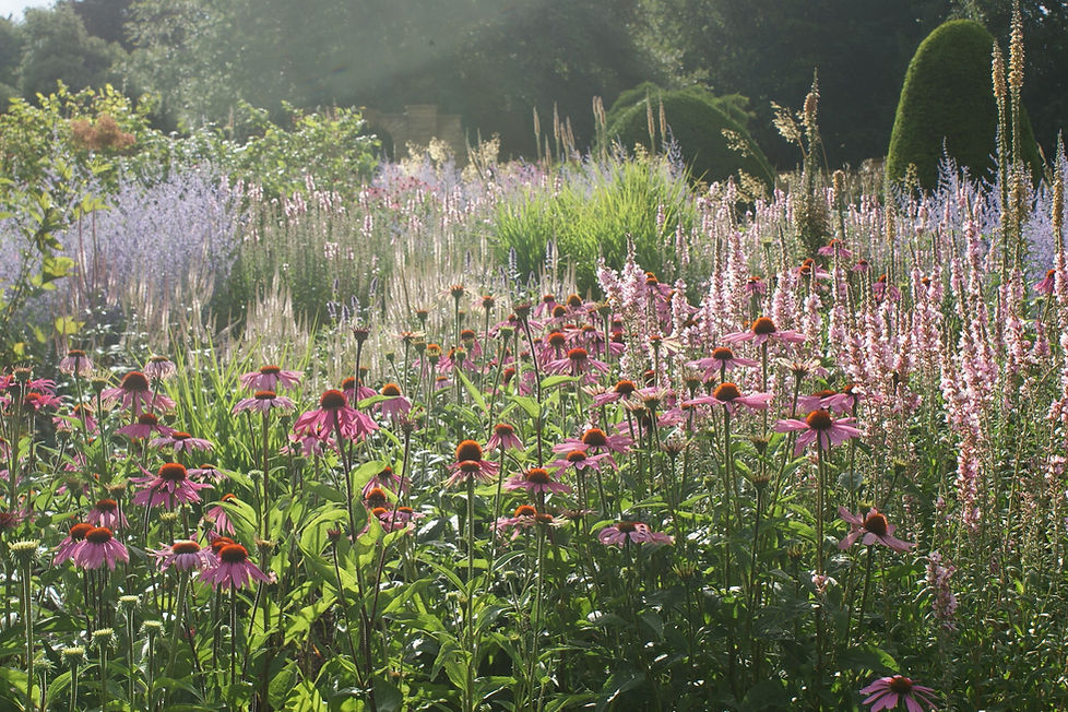 Swathes of perennial planting at the restored gardens at Bowcliffe Hall