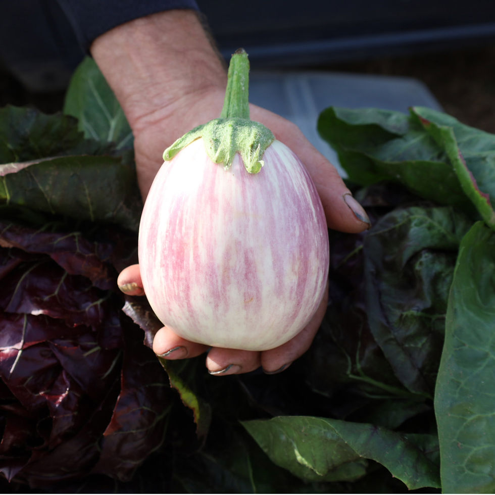 Home Grown