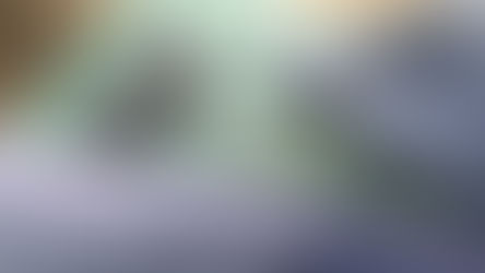 What to Buy With Your Stimulus Check