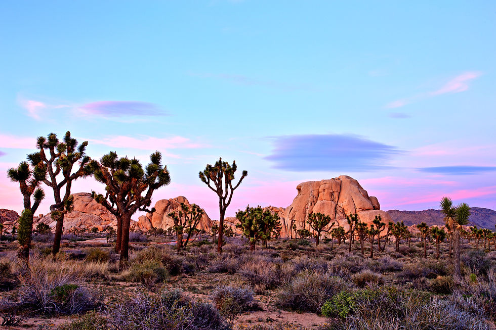 Palm Springs / Coachella Valley