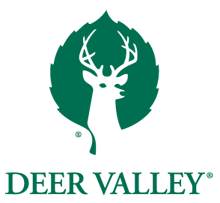 DVRLogoCoolWorks.png