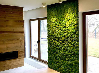 Moss Wall
