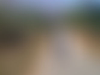 New Blog for a New Year