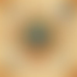 What's Your Sign? Discover the Secrets of Each Zodiac Sign!