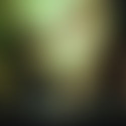 Review| Ο «Βασιλιάς Ληρ» και το ιδιόμορφο βασίλειό του, μάς καλωσορίζουν στον κόσμο τους.