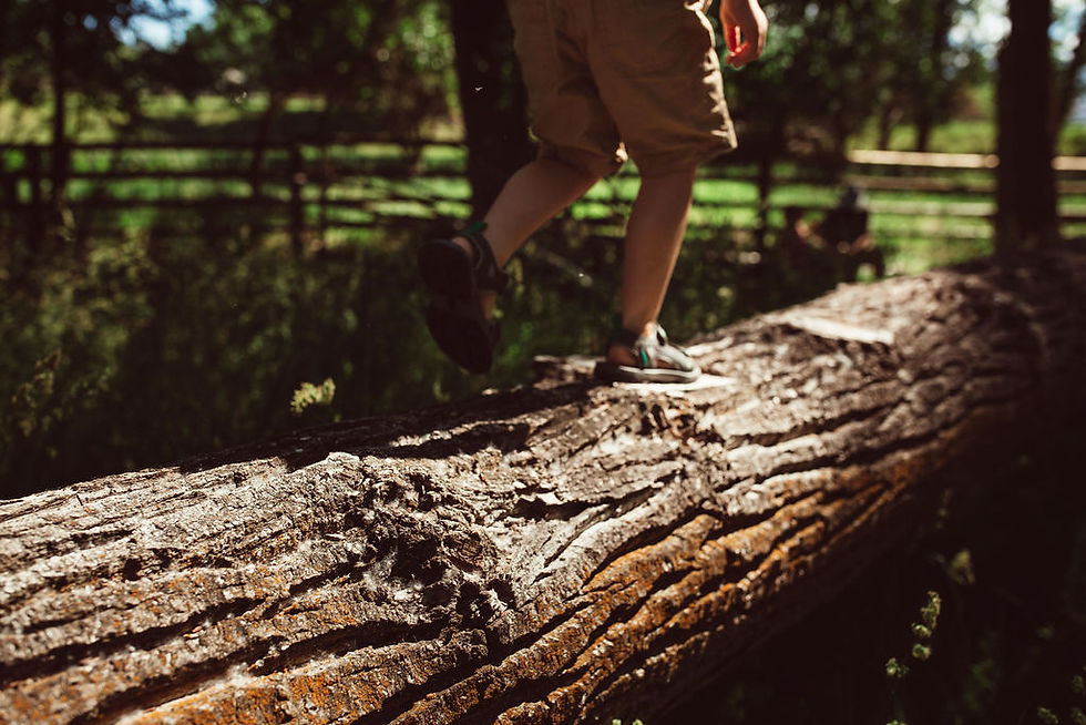 GrowingUpGreen_JennaNordPhotography9674.jpg