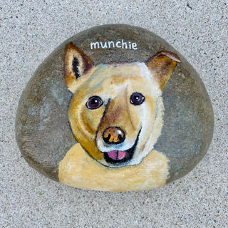 munchie.jpeg